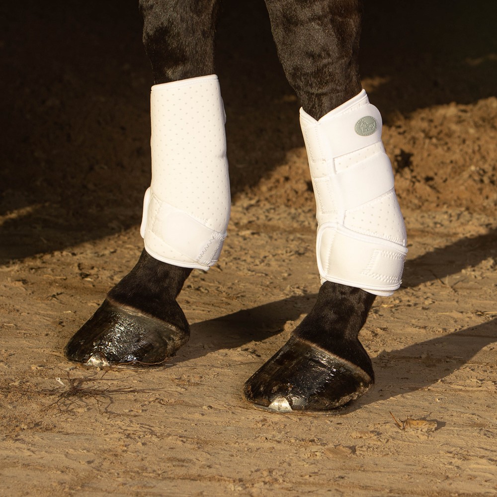 Protection boots Flextrainer Air - 33201282 - Harry's Horse